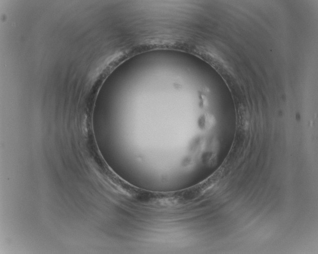 X0000071960692200607282033