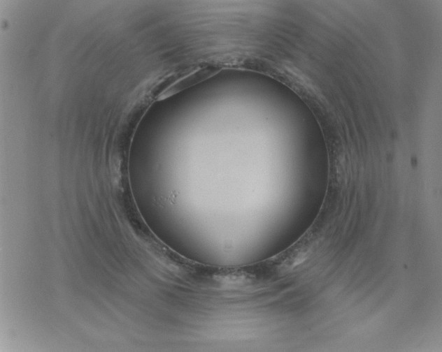 X0000071960693200607282033