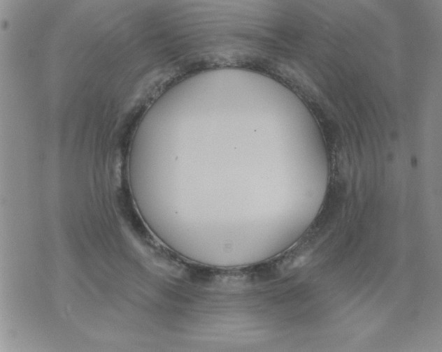 X0000071960694200607282033