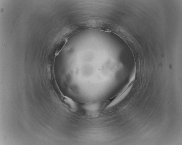 X0000071960696200607282033