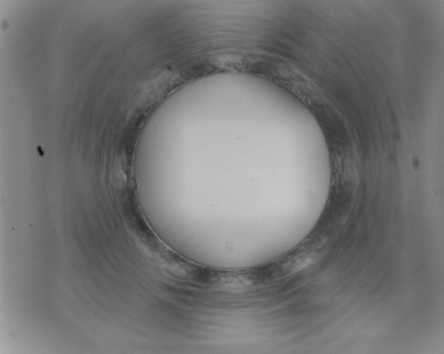 X0000071960702200607282033