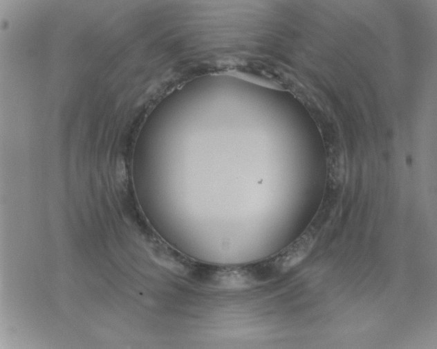 X0000071960704200607282033