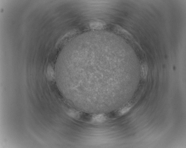 X0000071960705200607282033