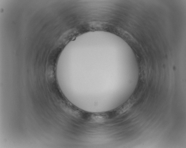 X0000071960706200607282033