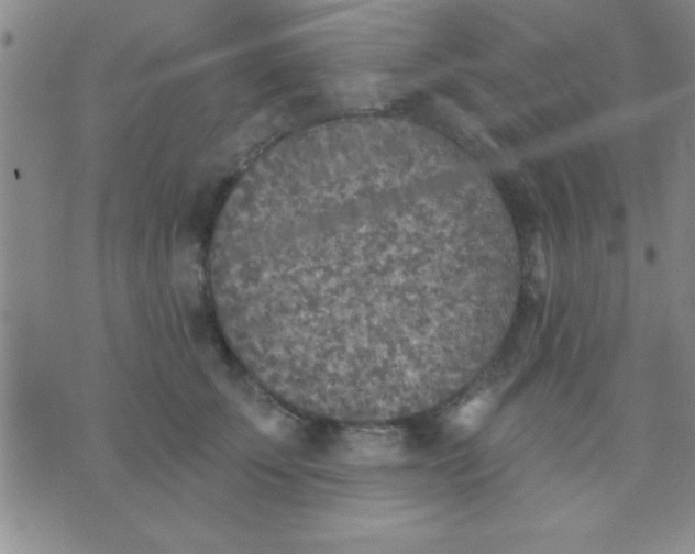 X0000071960707200607282033