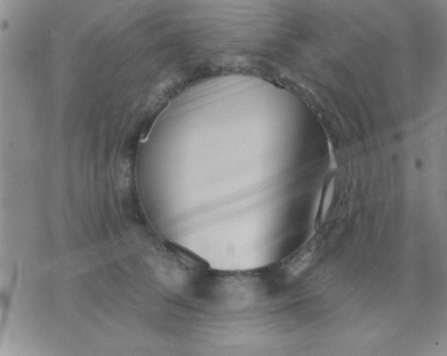 X0000071960708200607282033