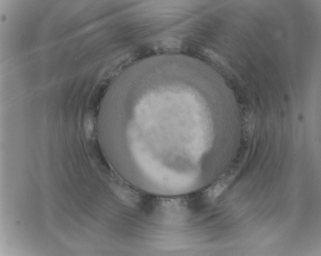 X0000071960709200607282033