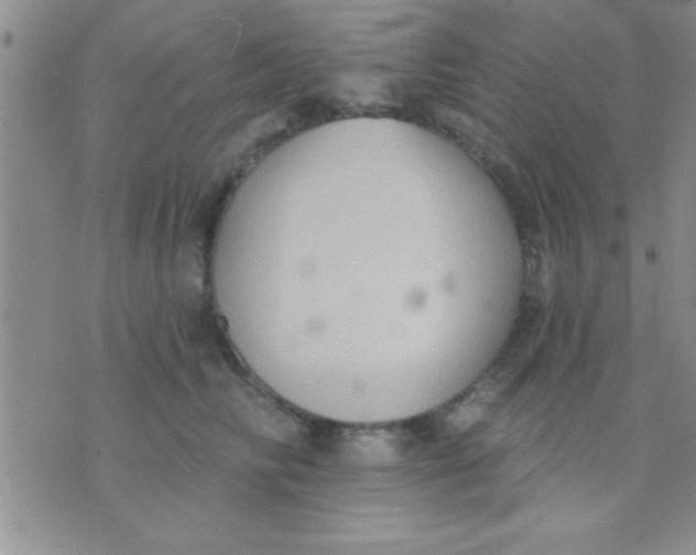 X0000071960710200607282033