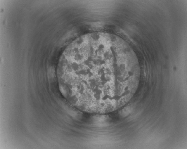 X0000071960711200607282033