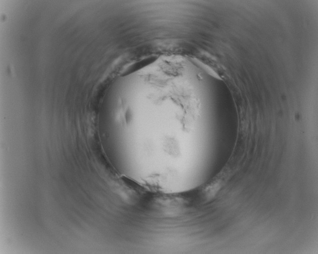 X0000071960712200607282033