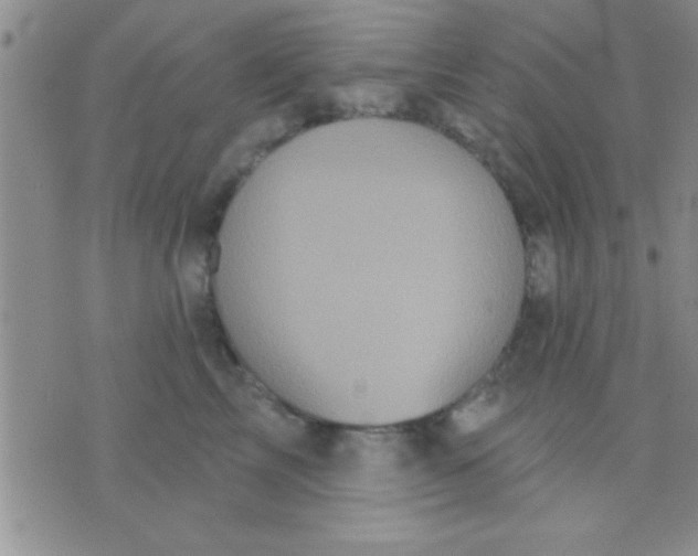 X0000071960713200607282033