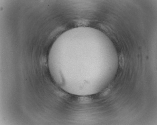 X0000071960714200607282033