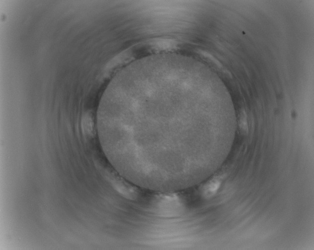 X0000071960715200607282033