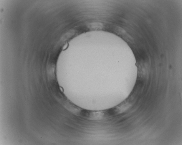 X0000071960717200607282033