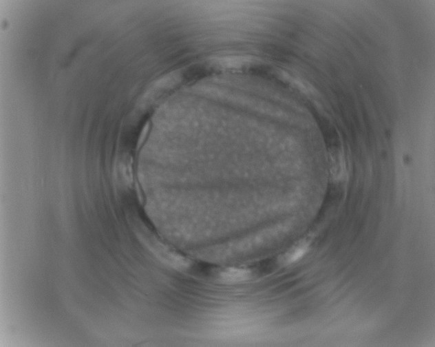 X0000071960718200607282033