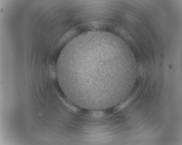 X0000071960719200607282033