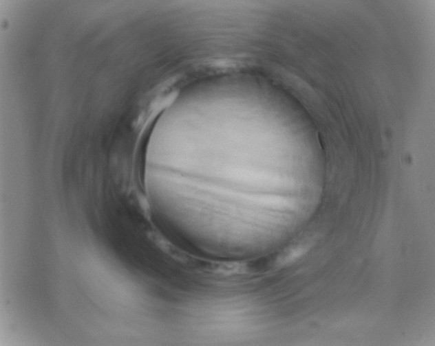 X0000071960720200607282033