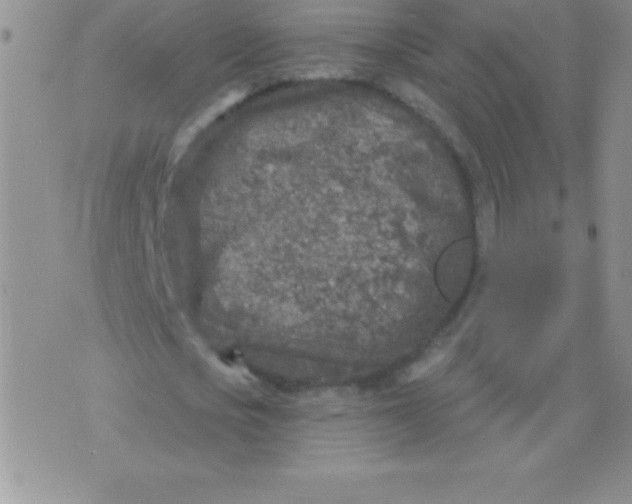 X0000071960721200607282032