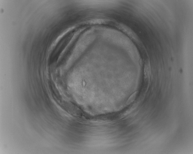 X0000071960722200607282032