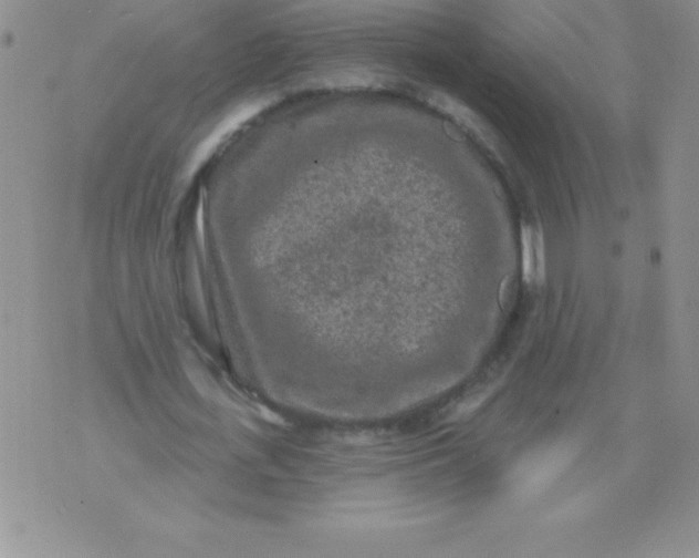 X0000071960723200607282032