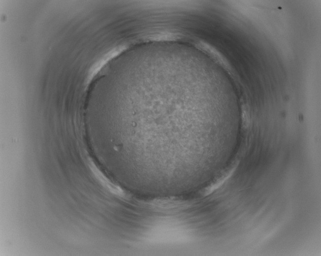 X0000071960725200607282032