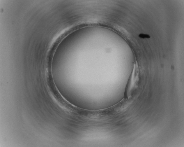 X0000071960728200607282032