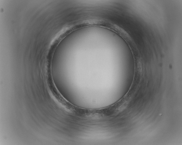 X0000071960730200607282032