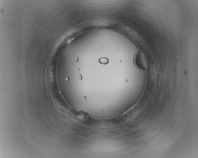 X0000071960731200607282032