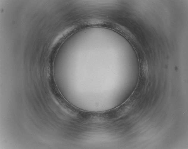 X0000071960732200607282032