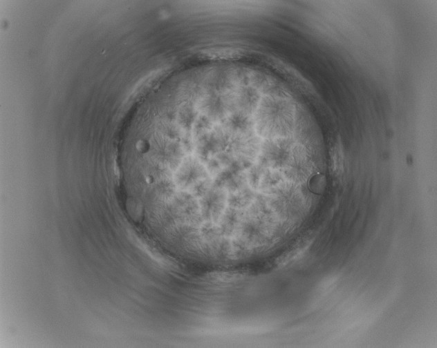 X0000071960733200607282032