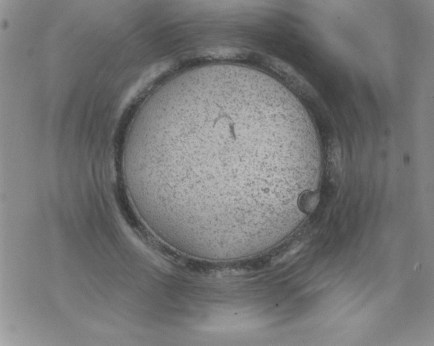 X0000071960734200607282032