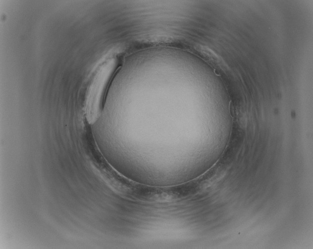 X0000071960735200607282032