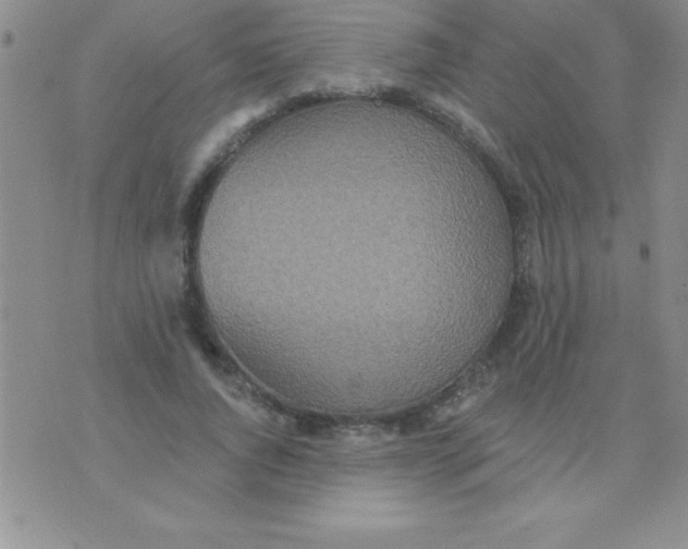 X0000071960736200607282032