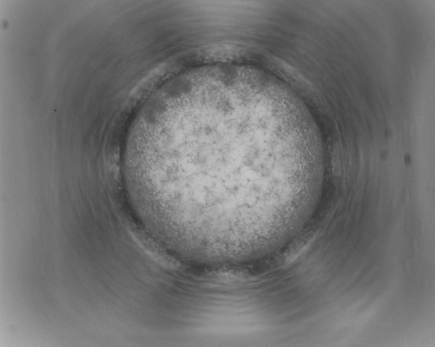 X0000071960737200607282032