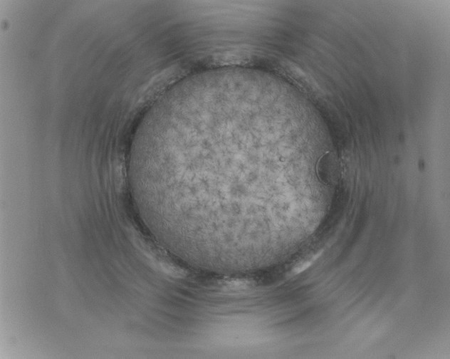 X0000071960741200607282033