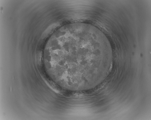 X0000071960742200607282033