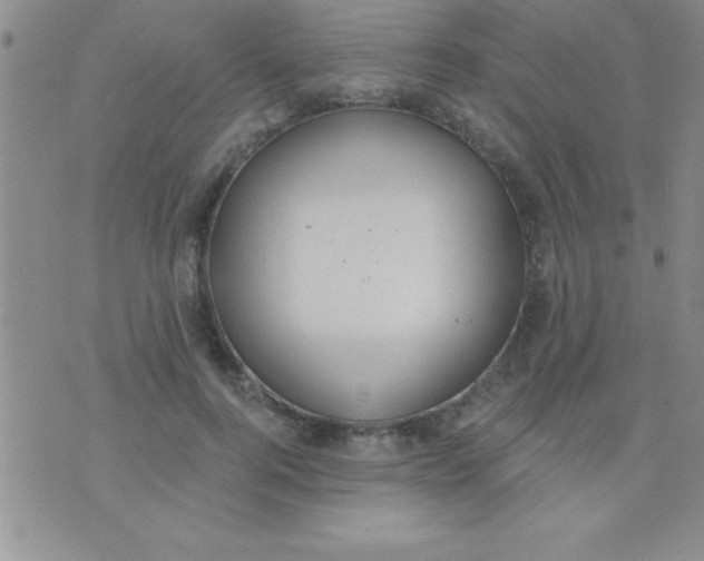 X0000071960744200607282033