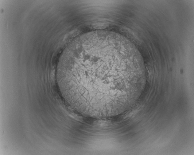 X0000071960745200607282033