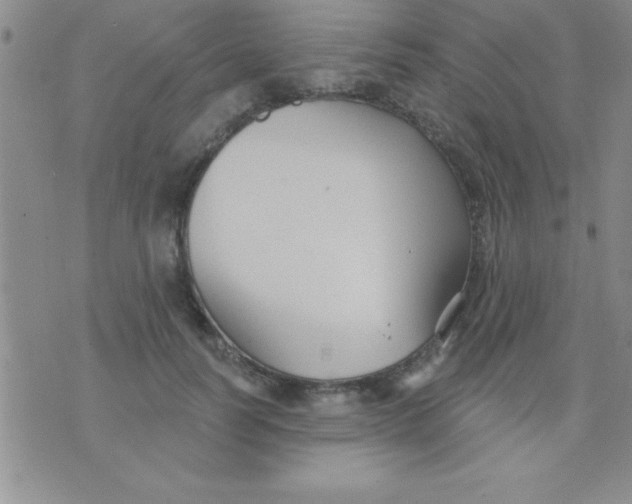 X0000071960746200607282033