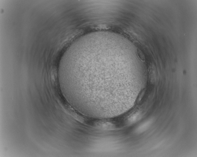 X0000071960747200607282033