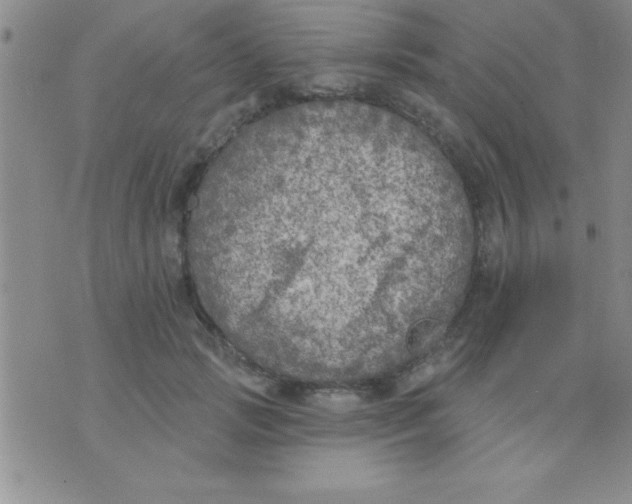 X0000071960749200607282033