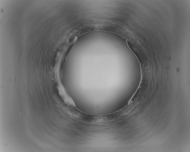 X0000071960750200607282033