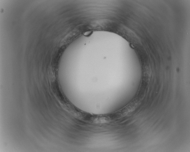 X0000071960751200607282033