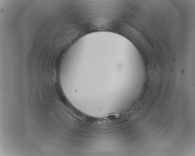 X0000071960752200607282033