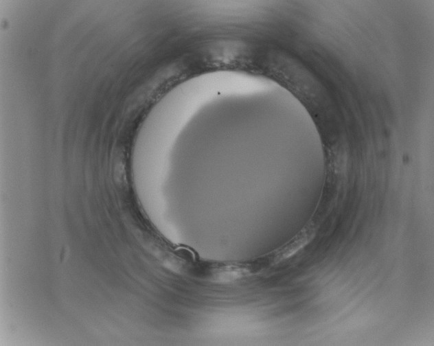 X0000071960754200607282033