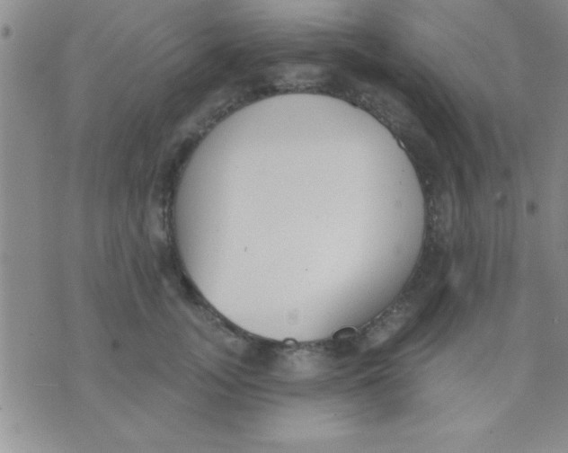 X0000071960755200607282033