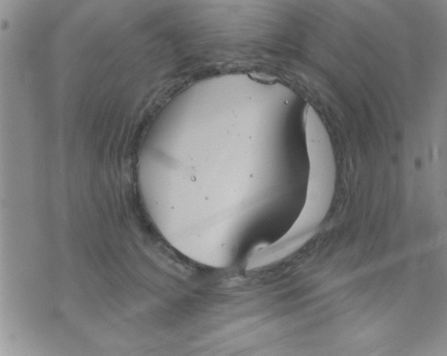 X0000071960756200607282033