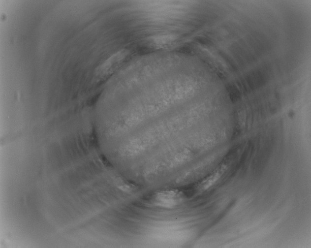 X0000071960757200607282033