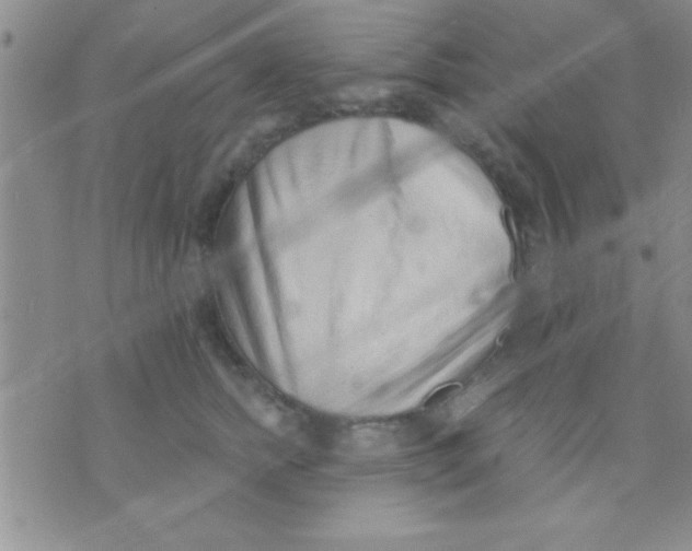 X0000071960758200607282033