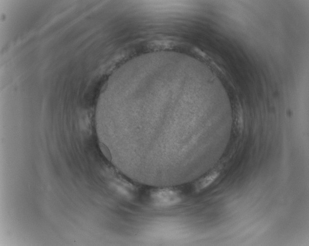 X0000071960759200607282033